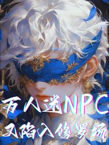 NPC޳